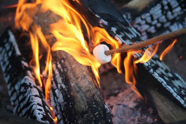 s'mores over a fire