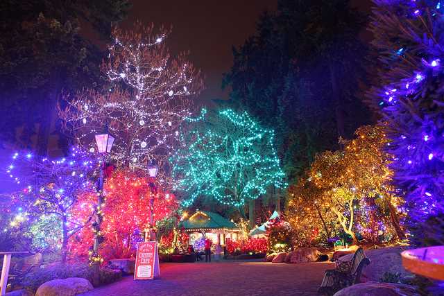 Capilano Suspension Bridge Christmas time