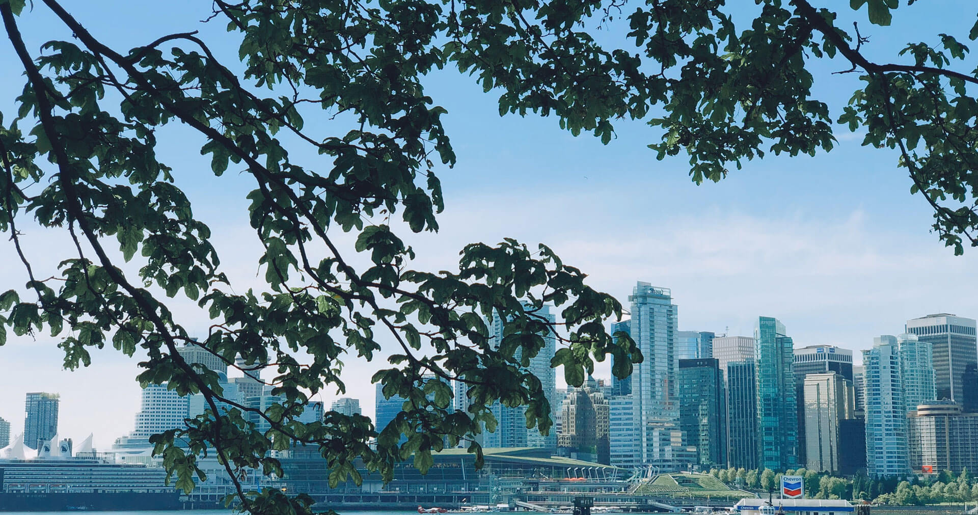 People looking down a winter scene of trees and city night lights of Vancouver