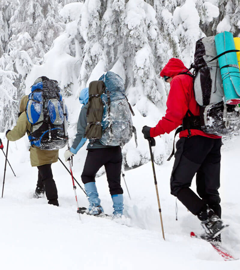 Skiers enjoying a hike on snowy trails