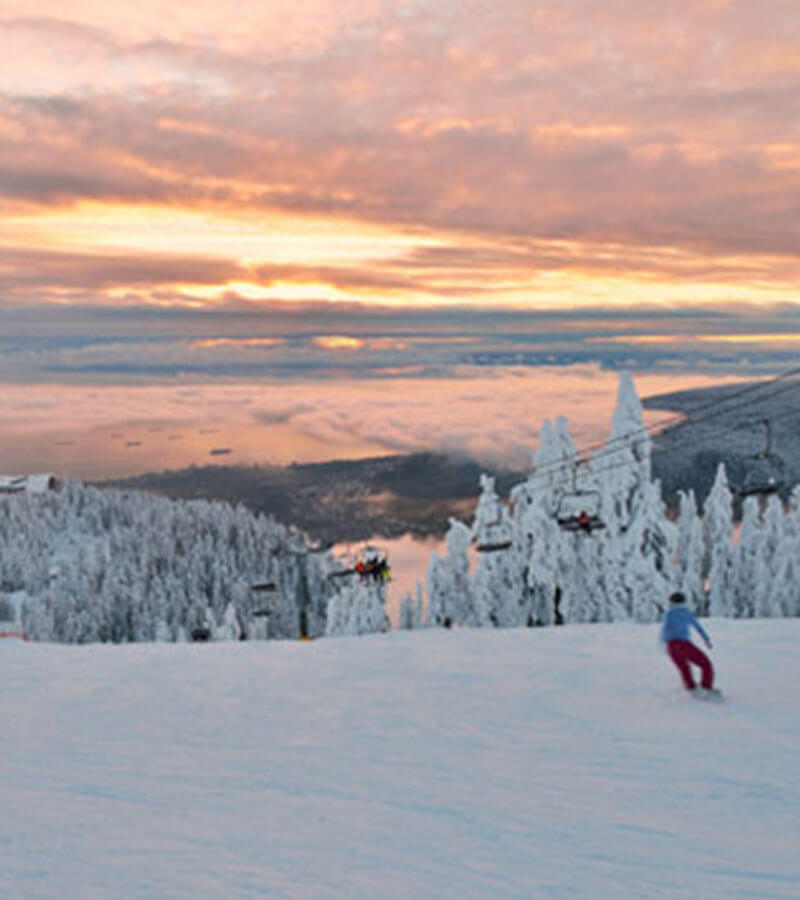 A skier skiing down snowy slopes with gondolas above and snow laden trees below