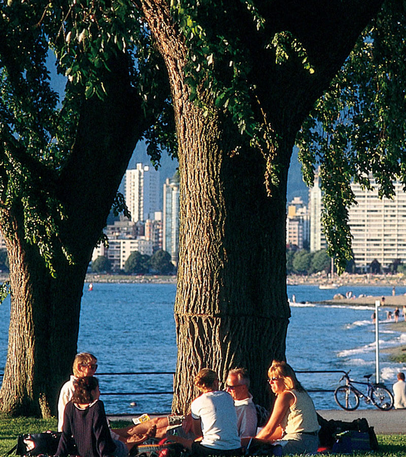 People sitting under a tree by the seashore and enjoying a sunny day 